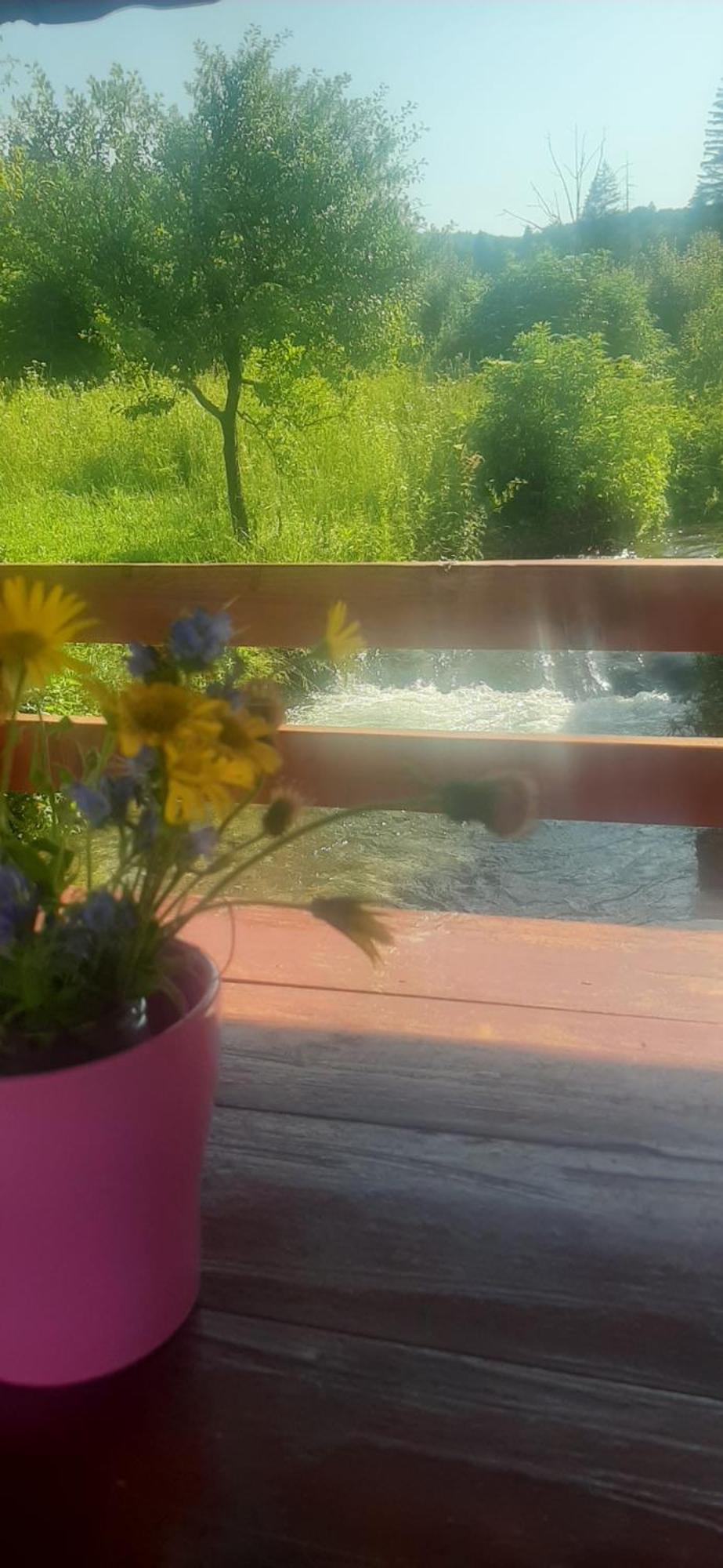 Guest House Mila Plitvicki Ljeskovac المظهر الخارجي الصورة